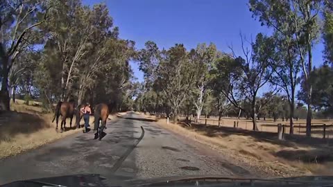 Horsing Around Outside the Oakford Equestrian Centre