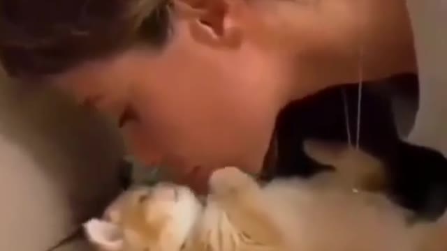 Nice cat kisses a pretty girl