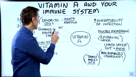 DrBerg-Vitamin A and Your Immune System