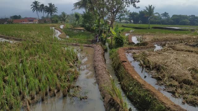 Suasana di perkampungan yang begitu sejuk