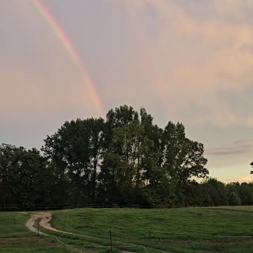 $$$👀Double the GOLD!👀$$$