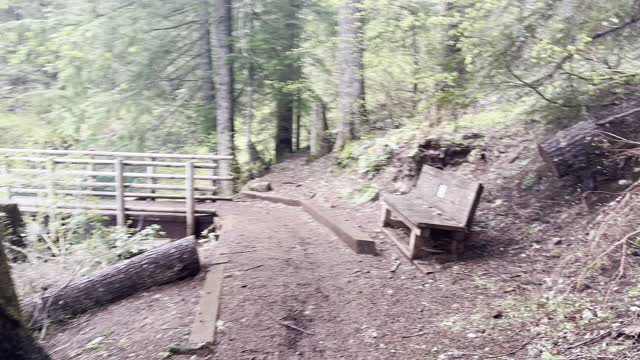 Approach to Long Rustic Bridge – Start of McKenzie River – Clear Lake – Central Oregon – 4K