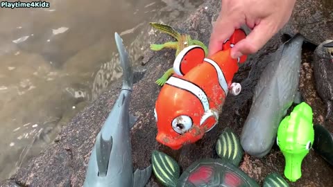 Sea animal toys