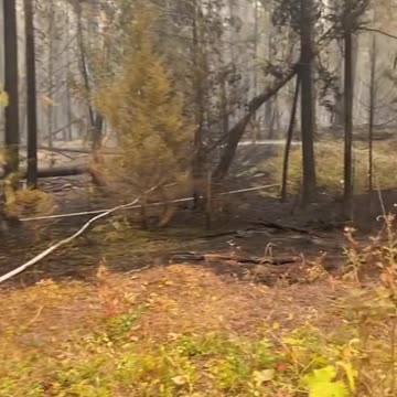 HE REFUSED TO LEAVE AS HE WOULD OF LOST EVERYTHING (SHARE)