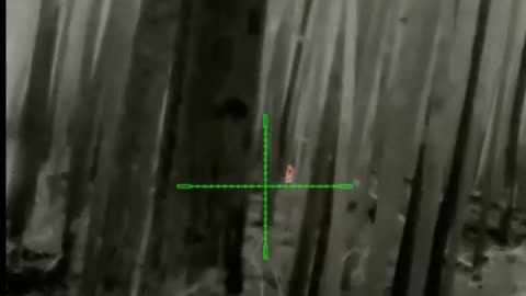 Russian sniper at woods in Donbass