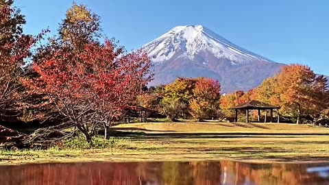 Largest Mountain view