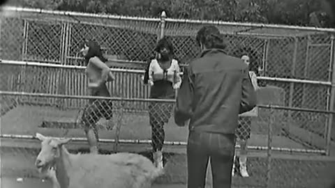 Tom Jones - It's Not Unusual Live 1965