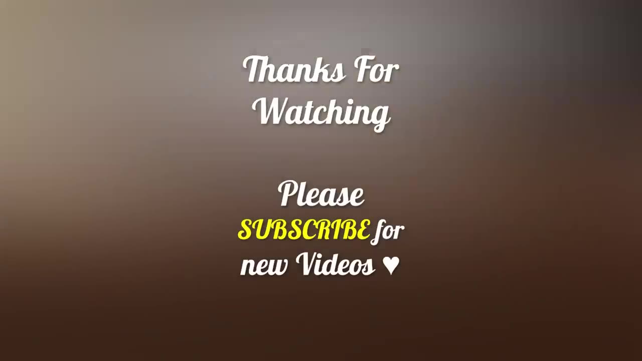Funny animals video