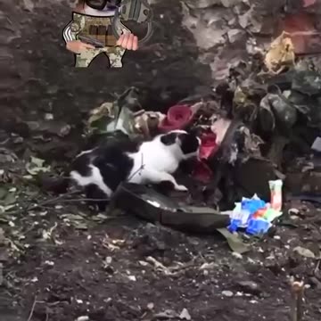 In Ukraine, Pussy Eats You