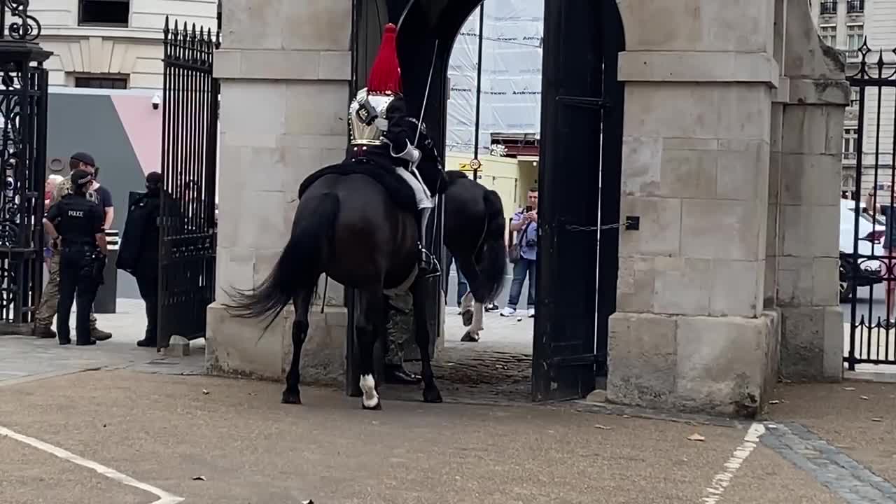 Queen’s Guard Horse Goes Crazy