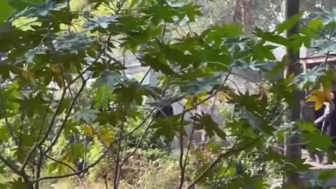 Mexico: Protests in Comalapa, Chiapas requiring the intervention of Mexican security forces.