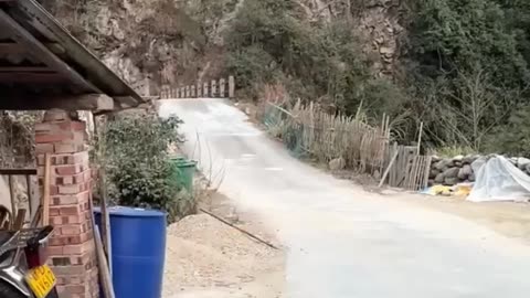 #funny shots enjoy