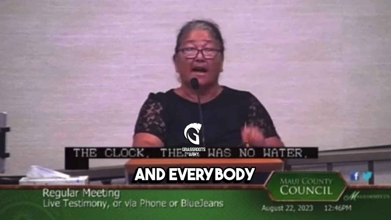 Lady ERUPTS at Maui City Council