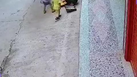 Dog, Protects Child from the Attacker