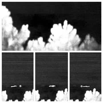 Orb Behind Flying Creature