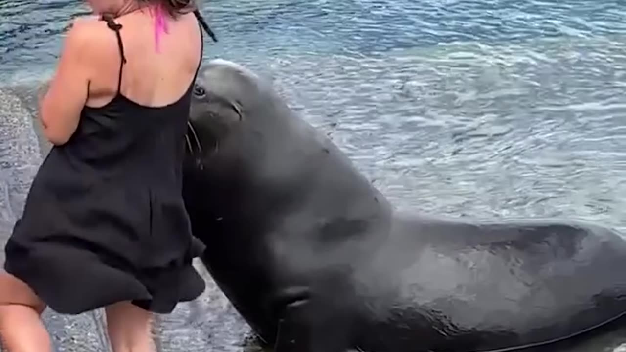 Lady gets spooked by pelican and seal