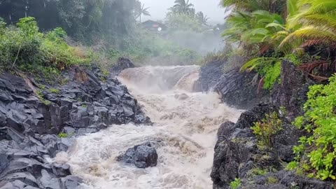 Nature in ACTION!!!!!!!!!!!!!!