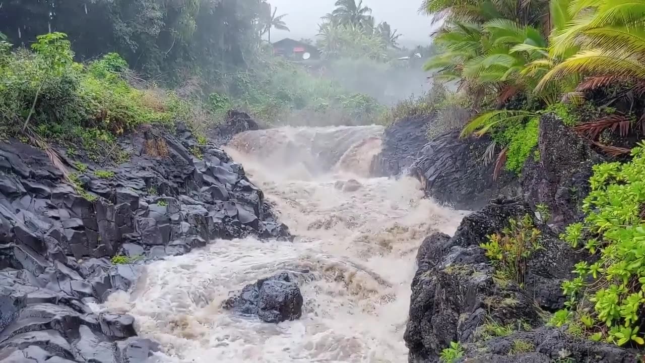 Nature in ACTION!!!!!!!!!!!!!!