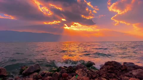"A little joy, a quiet love