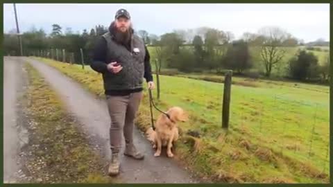 How to stop your dog by puling the leash. simple and easy