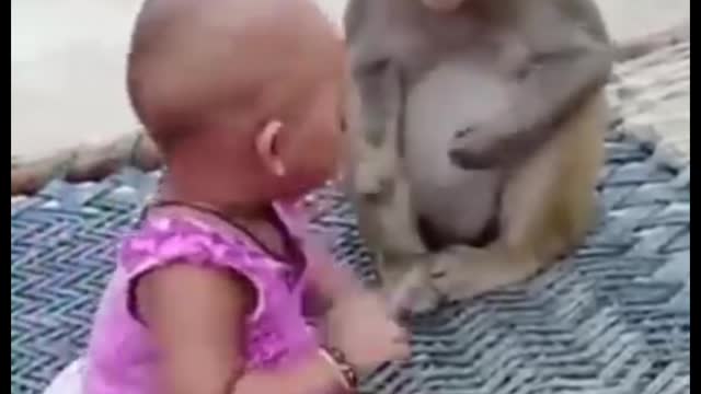 monkey hour a girl is playing/bandar our ek bachchi khel rahi hai๐ต๐ต๐๐๐๐ถ๐ถ๐ถ๐ถ๐ถ๐ถ๐ถthank you