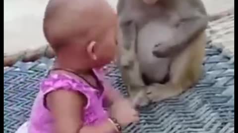 monkey hour a girl is playing/bandar our ek bachchi khel rahi hai🐵🐵🐒🐒🐒👶👶👶👶👶👶👶thank you