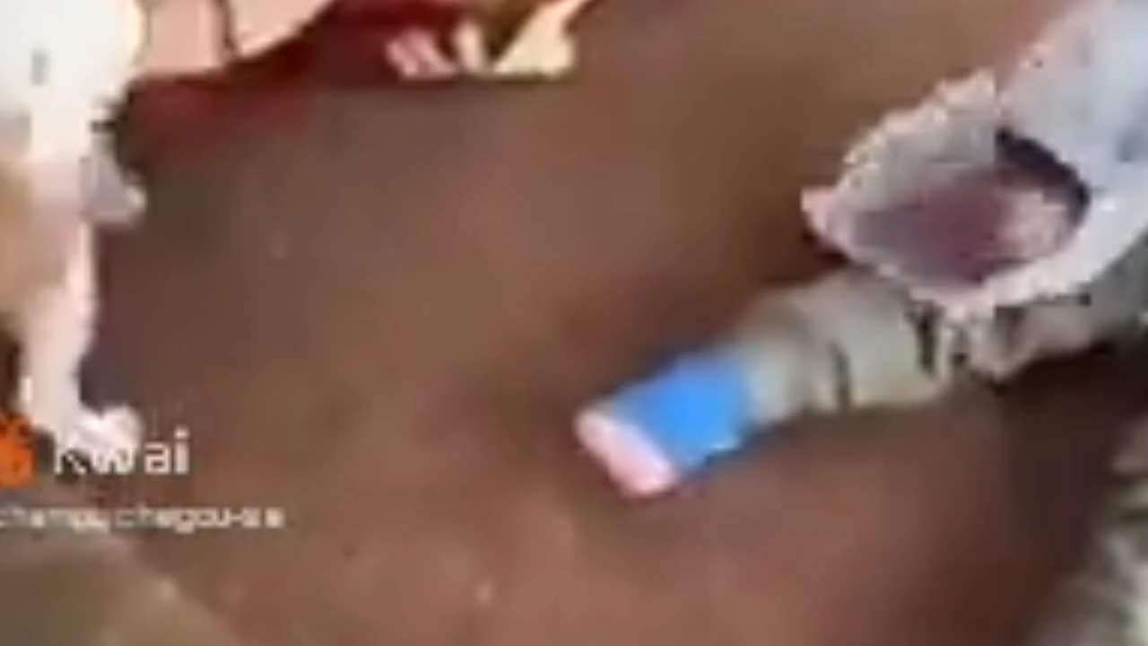 Amazing video, Children and puppy Fight