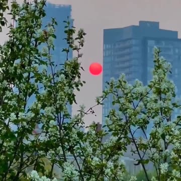 What's this Calgary, Alberta, Canada, May 17, 2023