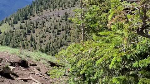 Hiking alberta