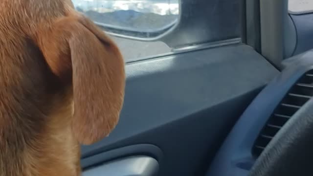 To adorable