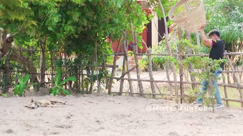 "The Funniest Reaction Ever: Dog Meets Bamboo Basket & Ring Prank!"