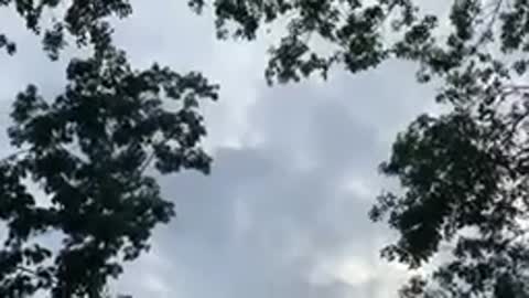 Relaxing Music | Sleeping, Meditation, Stress Relief | [1343] ⭐️