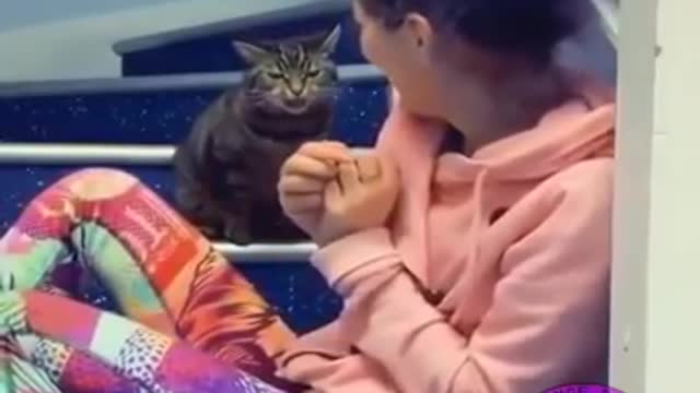 Need a Laugh? Watch This Video, Laughs are Guaranteed | Cringe Pets