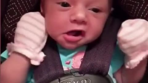 Funny baby videos