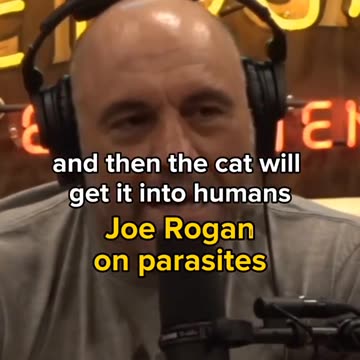 Parasite that Makes Rats Attracted to Cats #joerogan #shorts #jre