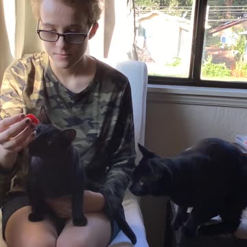 Can’t eat in peace😂