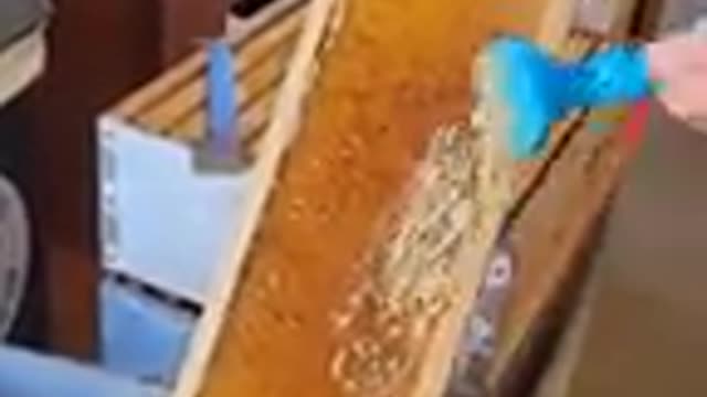 Satisfying of The work of a beekeeper👍