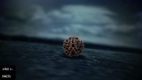 How The Power Of Rudraksha Can TRANSFORM life/Sadhguru