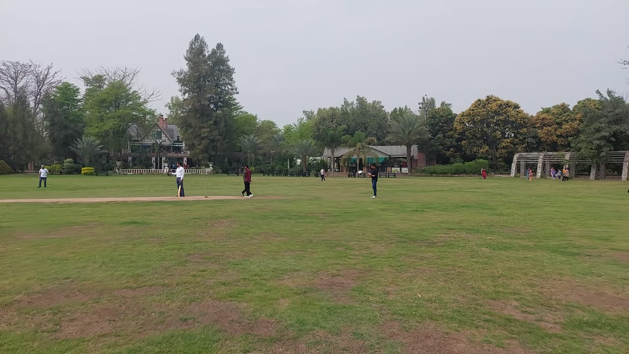 Play cricket with friends