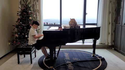 (2-7) LT goal memorize 7 Beethoven Sonatas: Moonlight, Appassionata