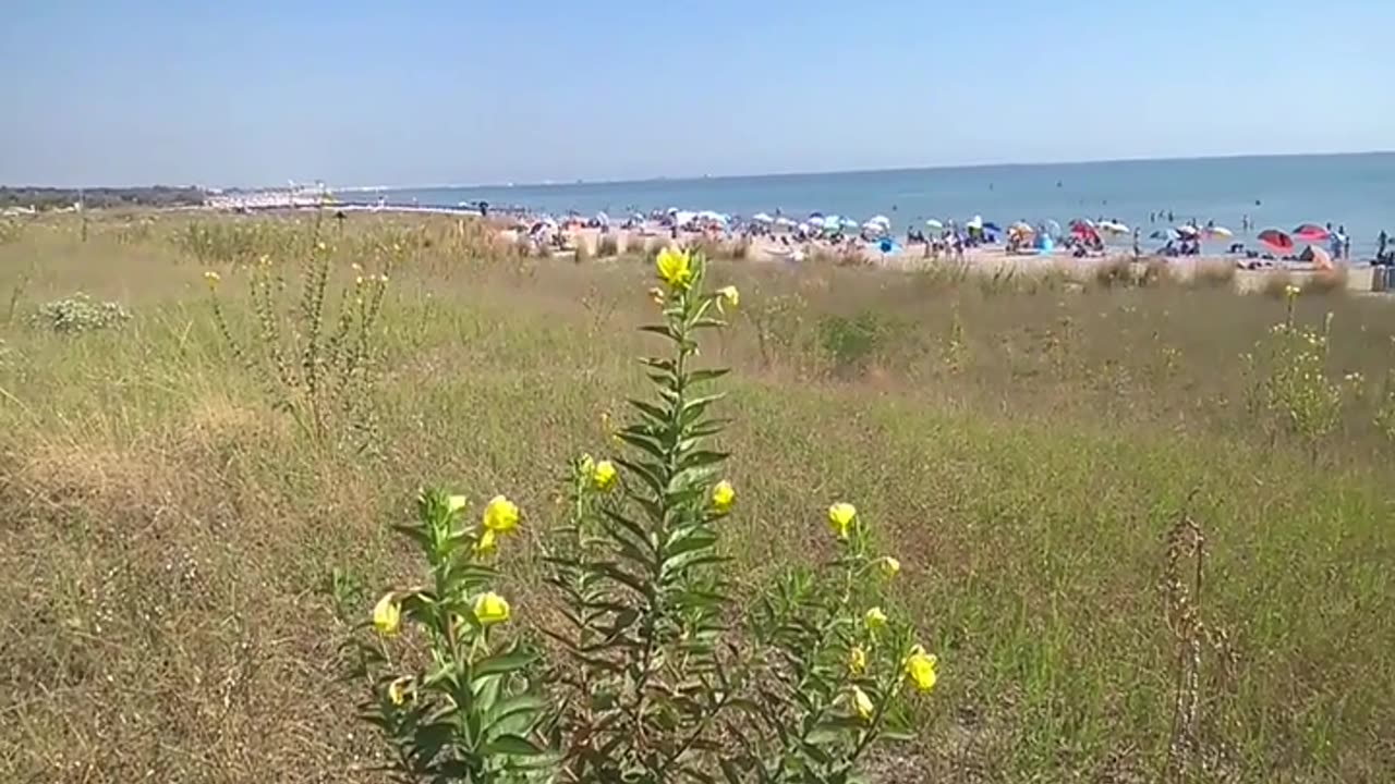 Vacanze a Marina di Ravenna