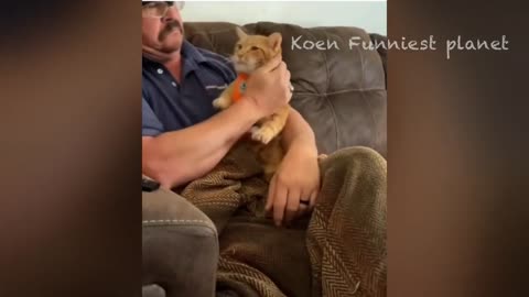 Funny Animal Videos