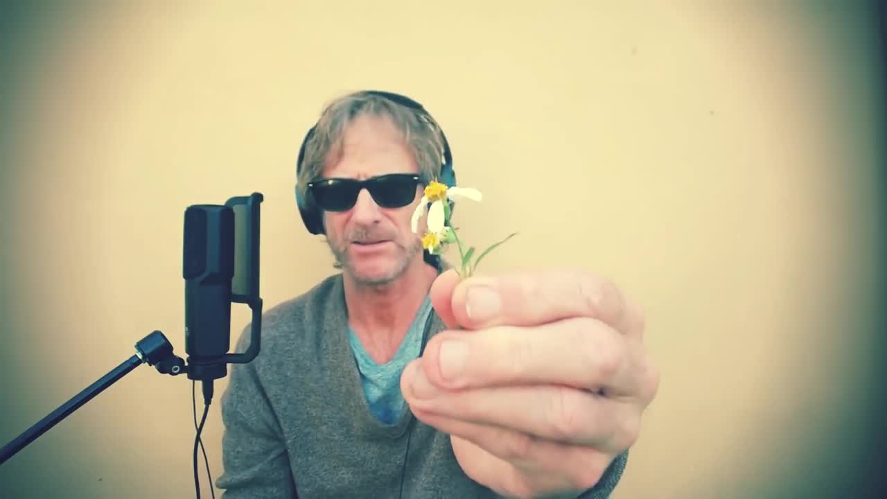 MZTV 153 - 04/22/2019: Be Nice to Angels