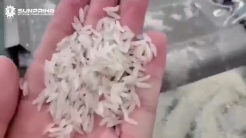 PENSASTE QUE ESTABAS COMIENDO ARROZ????