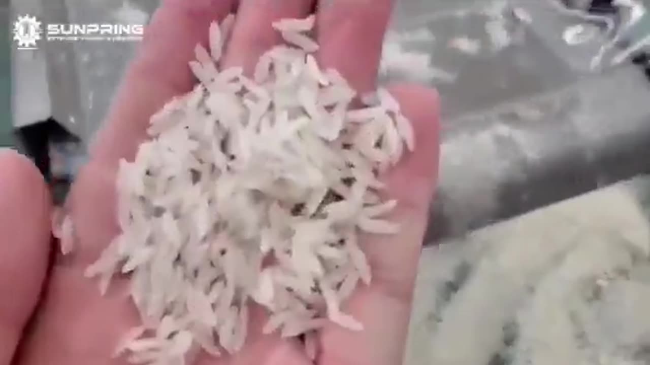 PENSASTE QUE ESTABAS COMIENDO ARROZ????