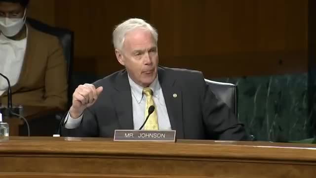 Sen. Ron Johnson confronts Biden's race-specialist nominee over calling him White Supremacy.