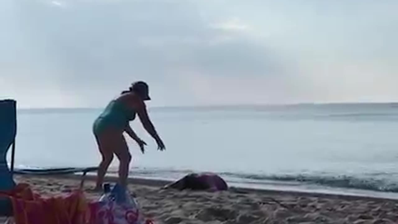 Videos scene