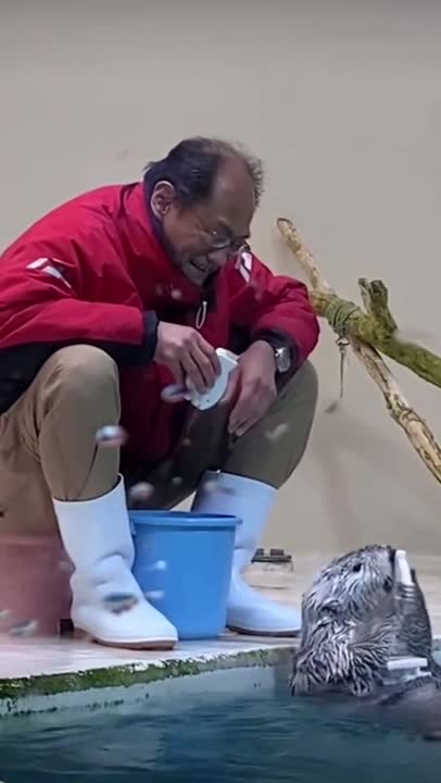 Lovely man playing with an otter at the zoo