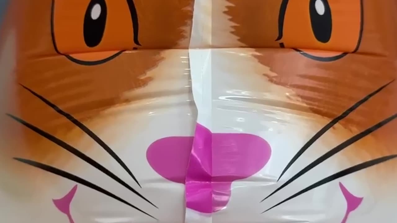 Cat Love Story #cats #love #animals #viral #rumble #trending #shorts