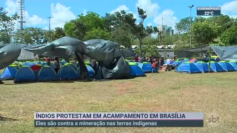 Índios montam acampamento para protestar em Brasília | SBT Brasil (04/04/22)